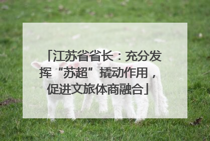 江苏省省长：充分发挥“苏超”撬动作用，促进文旅体商融合