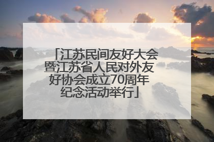 江苏民间友好大会暨江苏省人民对外友好协会成立70周年纪念活动举行