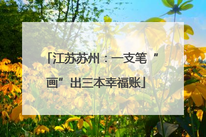 江苏苏州：一支笔“画”出三本幸福账