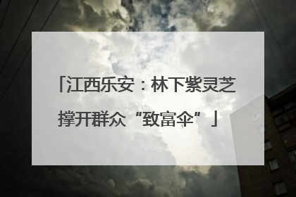 江西乐安：林下紫灵芝撑开群众“致富伞”
