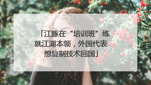江豚在“培训班”练就江湖本领，外国代表想复制技术回国