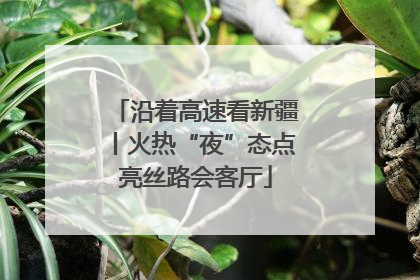 沿着高速看新疆丨火热“夜”态点亮丝路会客厅
