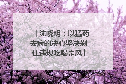 沈晓明：以猛药去疴的决心坚决刹住违规吃喝歪风