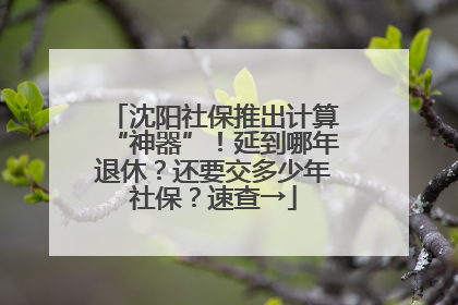 沈阳社保推出计算“神器”！延到哪年退休？还要交多少年社保？速查→