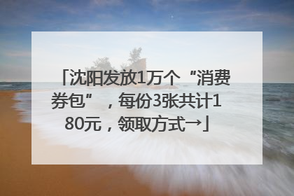 沈阳发放1万个“消费券包”，每份3张共计180元，领取方式→