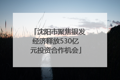 沈阳市聚焦银发经济释放530亿元投资合作机会