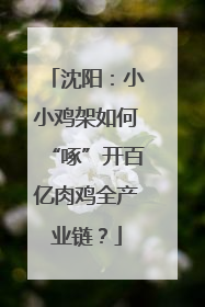 沈阳：小小鸡架如何“啄”开百亿肉鸡全产业链？