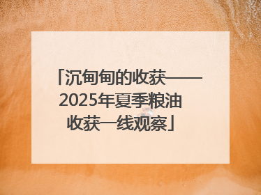 沉甸甸的收获——2025年夏季粮油收获一线观察