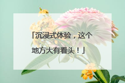 沉浸式体验，这个地方大有看头！