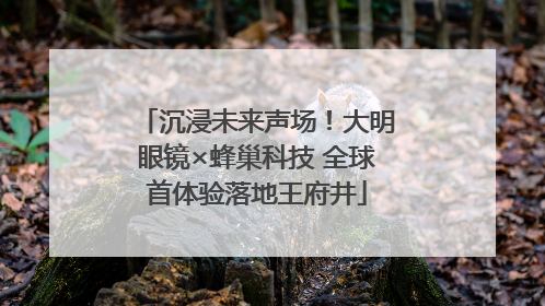 沉浸未来声场！大明眼镜×蜂巢科技 全球首体验落地王府井