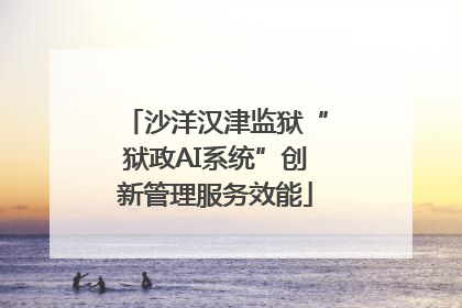 沙洋汉津监狱“狱政AI系统”创新管理服务效能
