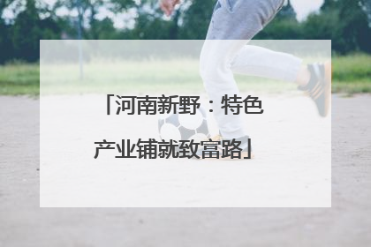 河南新野：特色产业铺就致富路