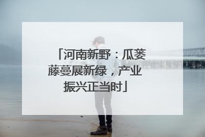 河南新野：瓜蒌藤蔓展新绿，产业振兴正当时