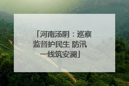 河南汤阴：巡察监督护民生 防汛一线筑安澜