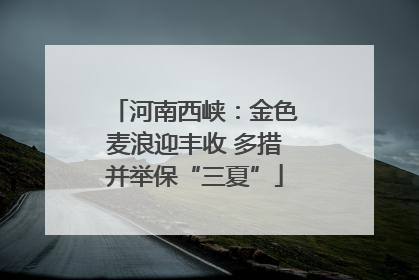 河南西峡：金色麦浪迎丰收 多措并举保“三夏”