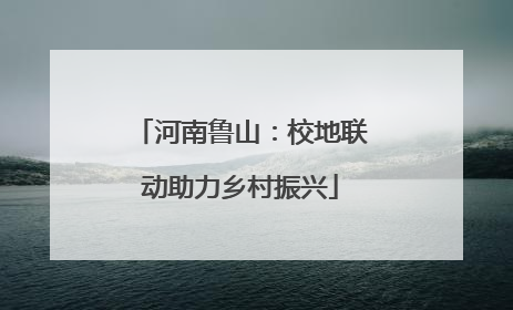 河南鲁山：校地联动助力乡村振兴