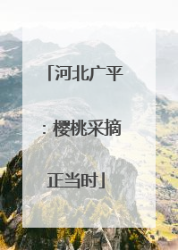 河北广平：樱桃采摘正当时