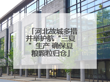 河北故城多措并举护航“三夏”生产 确保夏粮颗粒归仓