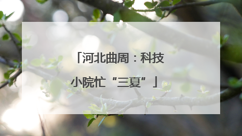 河北曲周：科技小院忙“三夏”
