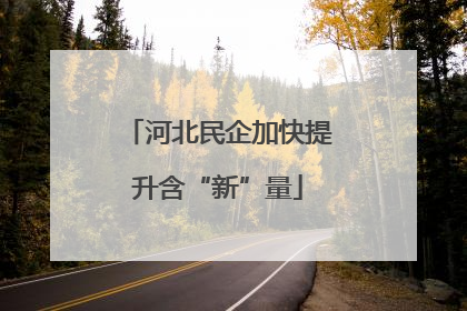 河北民企加快提升含“新”量