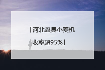 河北蠡县小麦机收率超95%