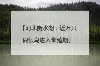 河北衡水湖：近万只夏候鸟进入繁殖期