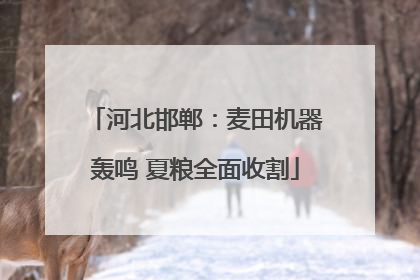 河北邯郸：麦田机器轰鸣 夏粮全面收割