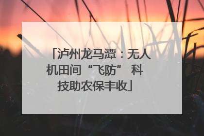 泸州龙马潭：无人机田间“飞防” 科技助农保丰收