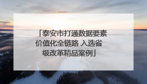 泰安市打通数据要素价值化全链路 入选省级改革精品案例