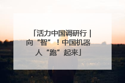 活力中国调研行｜向“智”！中国机器人“跑”起来