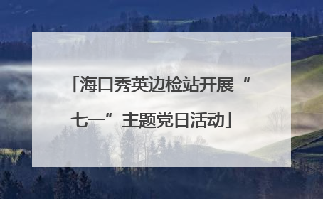 海口秀英边检站开展“七一”主题党日活动