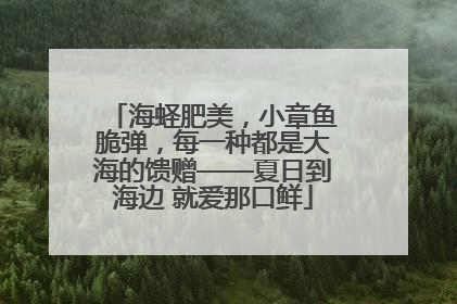 海蛏肥美，小章鱼脆弹，每一种都是大海的馈赠——夏日到海边 就爱那口鲜