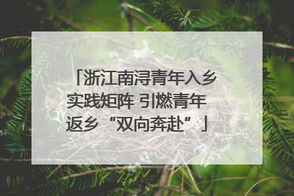 浙江南浔青年入乡实践矩阵 引燃青年返乡“双向奔赴”