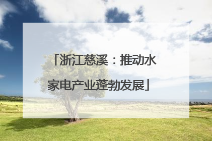 浙江慈溪：推动水家电产业蓬勃发展