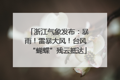 浙江气象发布：暴雨！雷暴大风！台风“蝴蝶”残云抵达