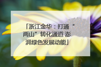 浙江金华：打通“两山”转化通道 澎湃绿色发展动能
