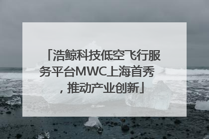 浩鲸科技低空飞行服务平台MWC上海首秀，推动产业创新