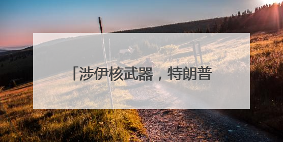 涉伊核武器，特朗普：美情报总监搞错了