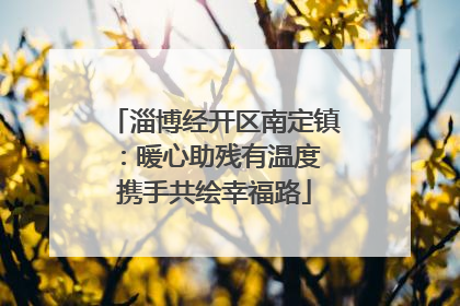 淄博经开区南定镇：暖心助残有温度 携手共绘幸福路