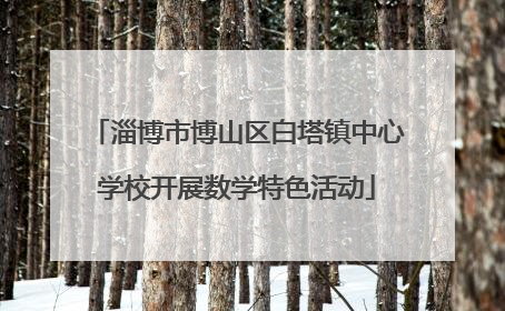 淄博市博山区白塔镇中心学校开展数学特色活动