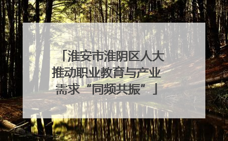 淮安市淮阴区人大推动职业教育与产业需求“同频共振”
