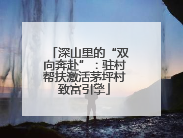 深山里的“双向奔赴”：驻村帮扶激活茅坪村致富引擎