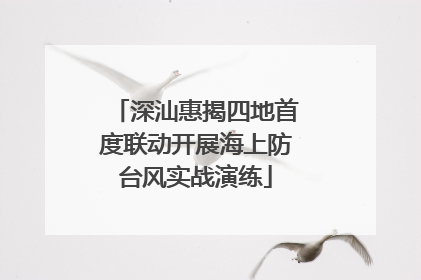 深汕惠揭四地首度联动开展海上防台风实战演练