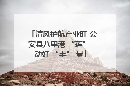 清风护航产业旺 公安县八里港 “莲” 动好 “丰” 景