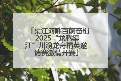 渠江河畔百舸奋楫 2025“龙腾渠江”川渝龙舟精英邀请赛激情开赛