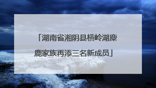 湖南省湘阴县横岭湖麋鹿家族再添三名新成员