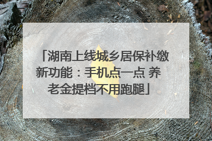 湖南上线城乡居保补缴新功能：手机点一点 养老金提档不用跑腿