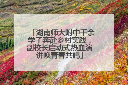 湖南师大附中千余学子奔赴乡村实践，副校长启动式热血演讲唤青春共鸣