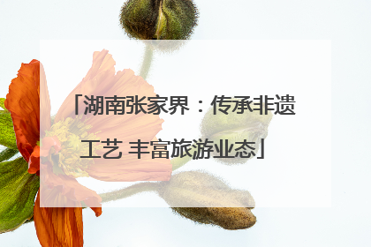 湖南张家界：传承非遗工艺 丰富旅游业态