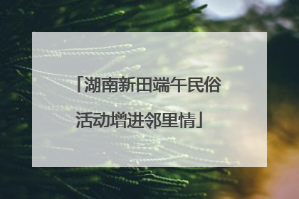 湖南新田端午民俗活动增进邻里情